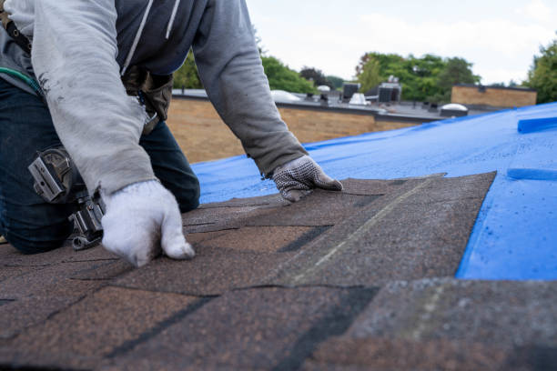 Best Flat Roof Repair Services  in Anna, OH