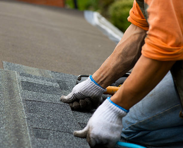 Best Storm Damage Roof Repair  in Anna, OH