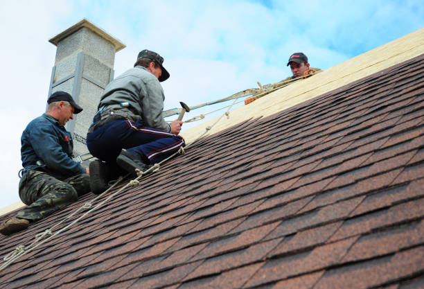 Best Roof Leak Repair  in Anna, OH
